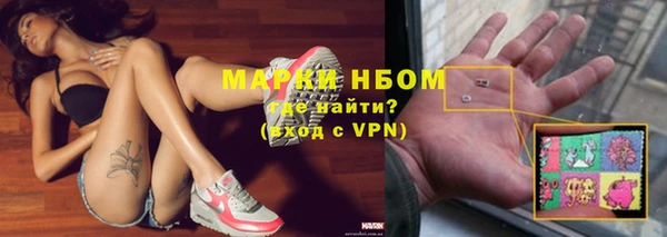стаф Арсеньев