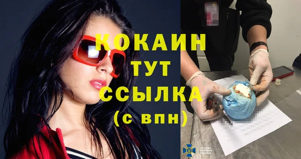 мяу мяу мука Няндома