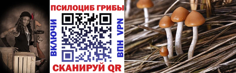 где купить наркоту  Микунь  Галлюциногенные грибы мухоморы 